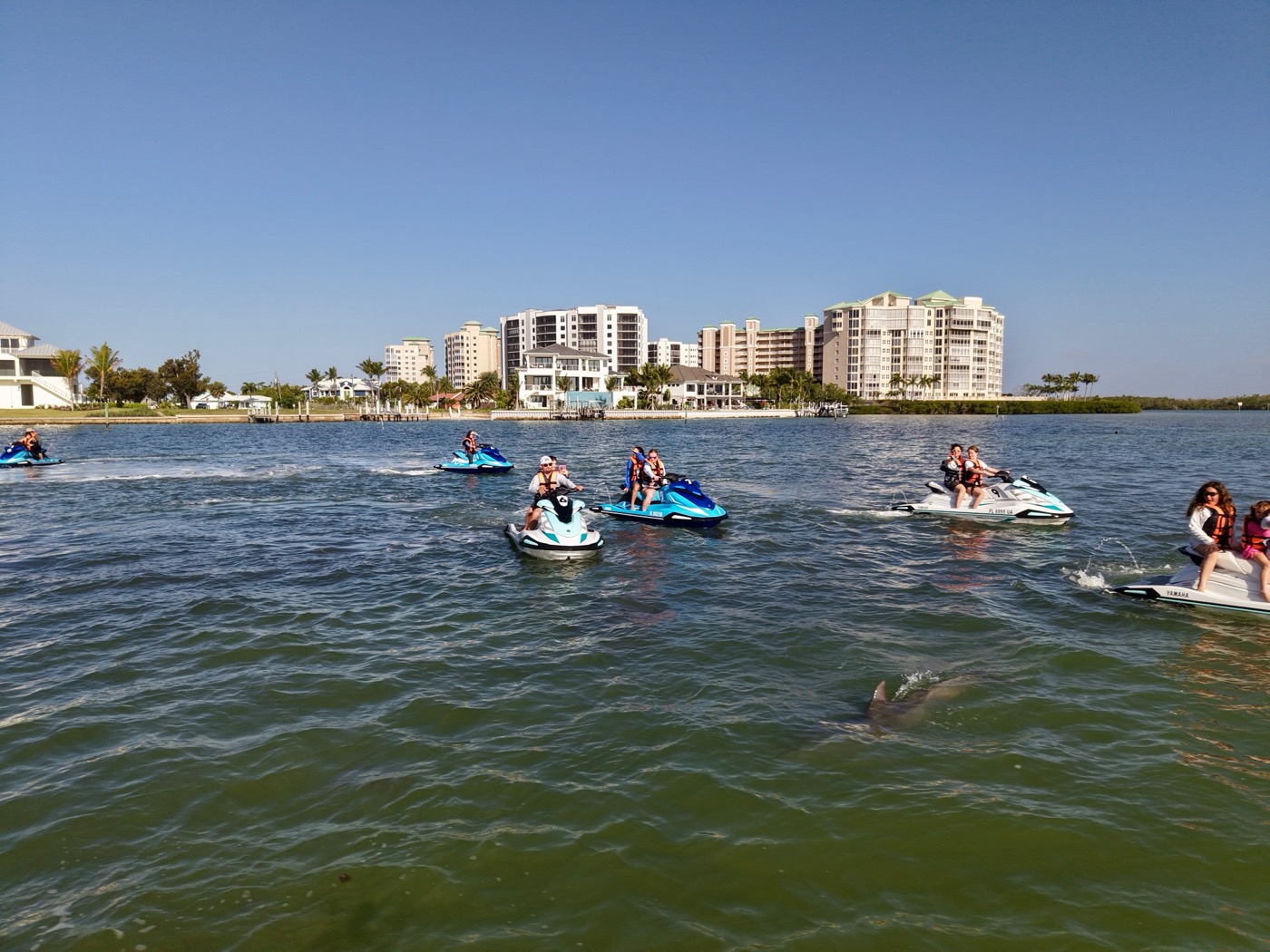Jet ski fleet and a dolphin, Adventure Water Sports on Instagram